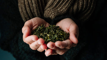 The Benefits of Premium Craft Cannabis