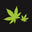 Cannabis Depot logo
